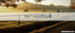 16x2-9=0怎么算