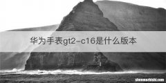 华为手表gt2-c16是什么版本