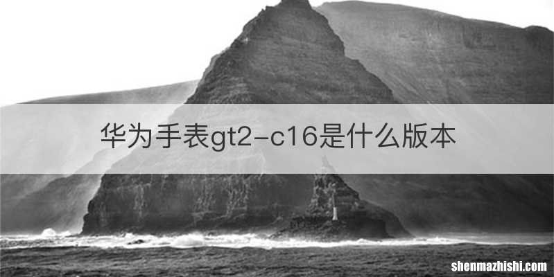 华为手表gt2-c16是什么版本