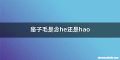 貉子毛是念he还是hao