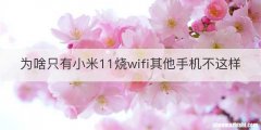 为啥只有小米11烧wifi其他手机不这样