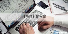 绽放精彩同义词