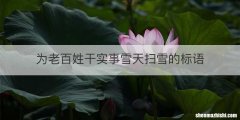 为老百姓干实事雪天扫雪的标语