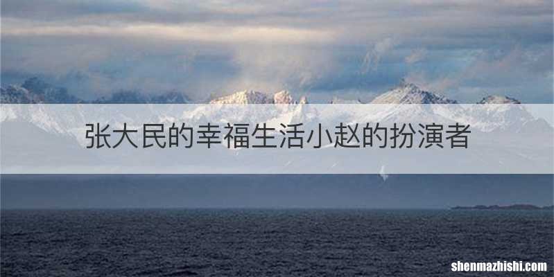张大民的幸福生活小赵的扮演者