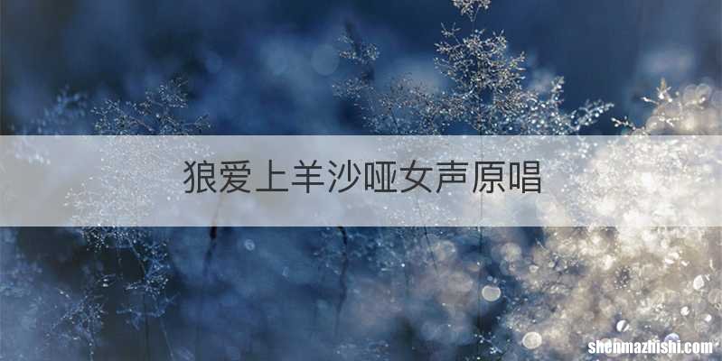 狼爱上羊沙哑女声原唱