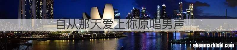 自从那天爱上你原唱男声