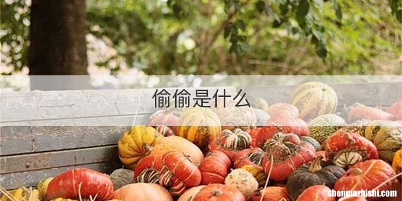 偷偷是什么