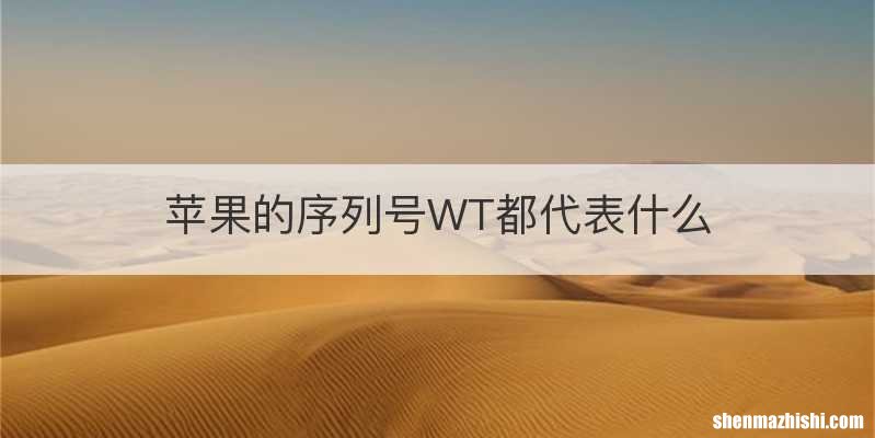 苹果的序列号WT都代表什么