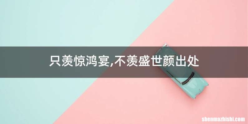 只羡惊鸿宴,不羡盛世颜出处