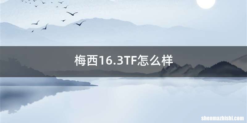 梅西16.3TF怎么样
