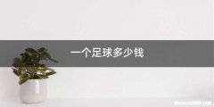 一个足球多少钱