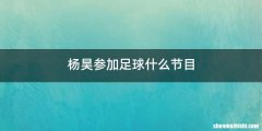 杨昊参加足球什么节目