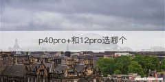 p40pro+和12pro选哪个