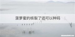 菠萝蜜的核裂了还可以种吗