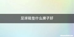 足球鞋垫什么牌子好