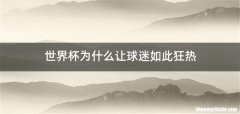 世界杯为什么让球迷如此狂热