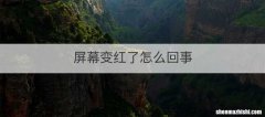 屏幕变红了怎么回事
