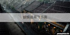 蝴蝶最高飞多高
