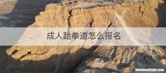成人跆拳道怎么报名