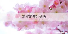 凉拌葡萄叶做法