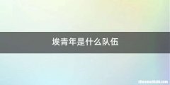 埃青年是什么队伍