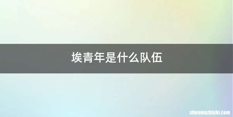 埃青年是什么队伍