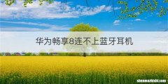 华为畅享8连不上蓝牙耳机