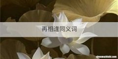 再相逢同义词