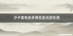 沙子里有很多黄色发光的东西