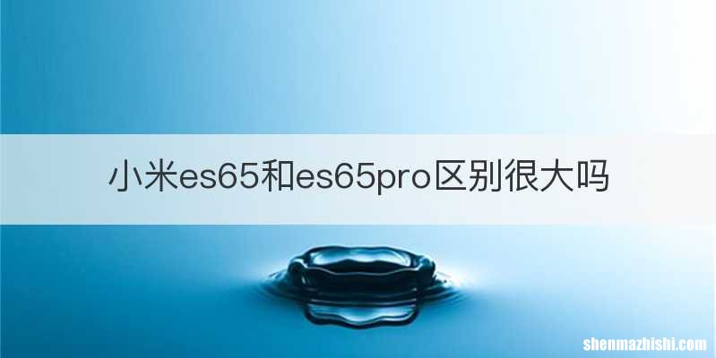 小米es65和es65pro区别很大吗