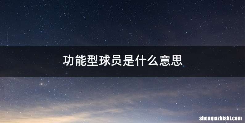 功能型球员是什么意思