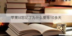 苹果id忘记了为什么要等10多天
