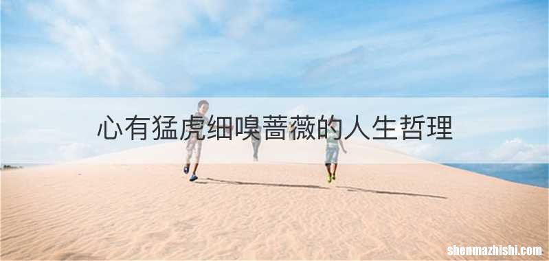 心有猛虎细嗅蔷薇的人生哲理
