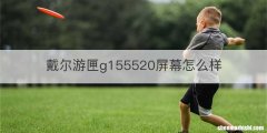 戴尔游匣g155520屏幕怎么样