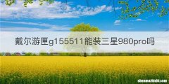 戴尔游匣g155511能装三星980pro吗