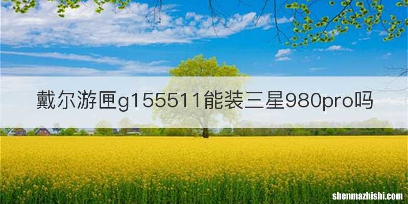 戴尔游匣g155511能装三星980pro吗