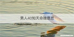 男人40知天命啥意思
