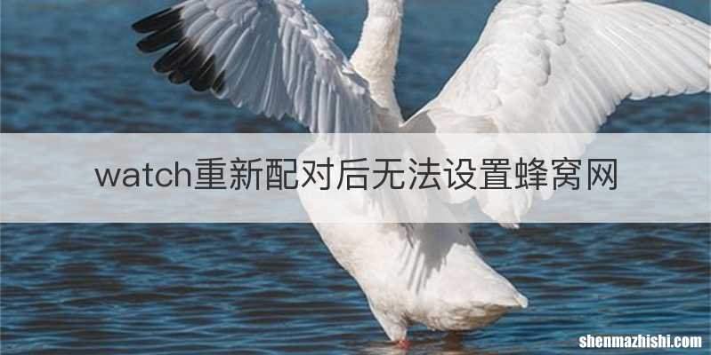 watch重新配对后无法设置蜂窝网