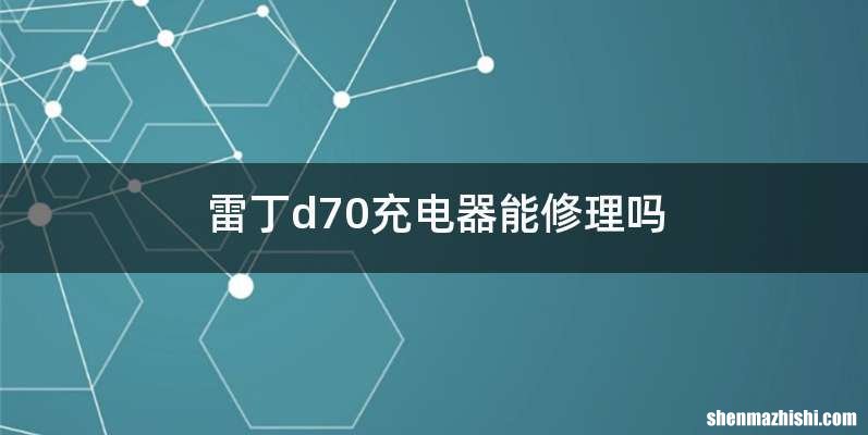 雷丁d70充电器能修理吗