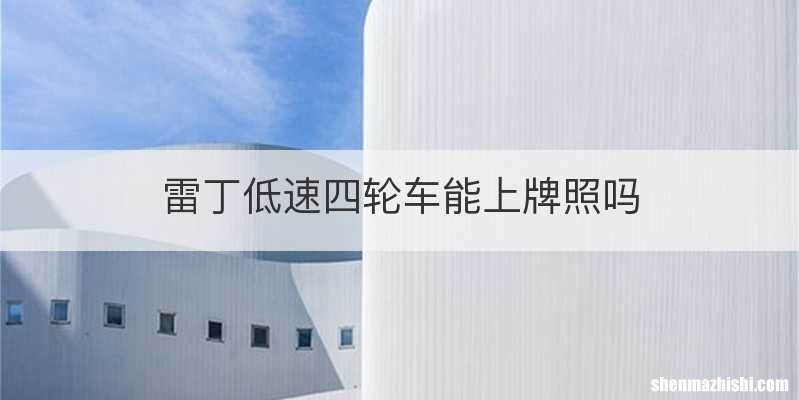 雷丁低速四轮车能上牌照吗