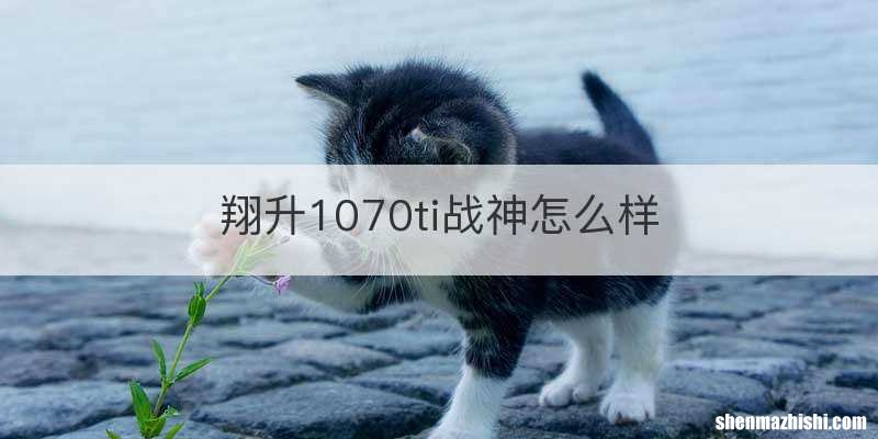 翔升1070ti战神怎么样