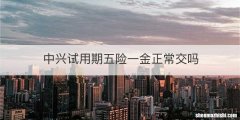 中兴试用期五险一金正常交吗