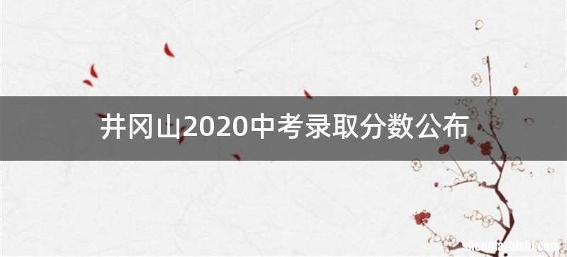 井冈山2020中考录取分数公布