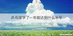 乒乓球学了一年能达到什么水平