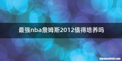 最强nba詹姆斯2012值得培养吗