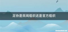 足协是民间组织还是官方组织