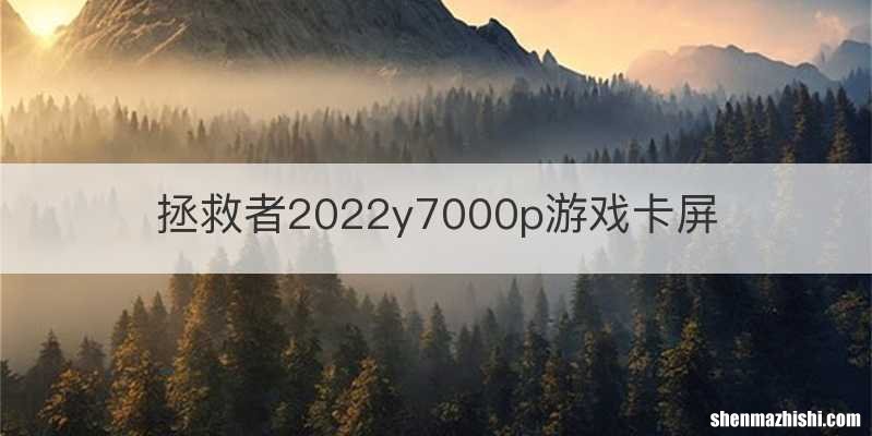 拯救者2022y7000p游戏卡屏