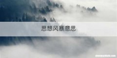 思想风暴意思