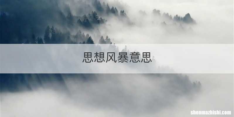 思想风暴意思