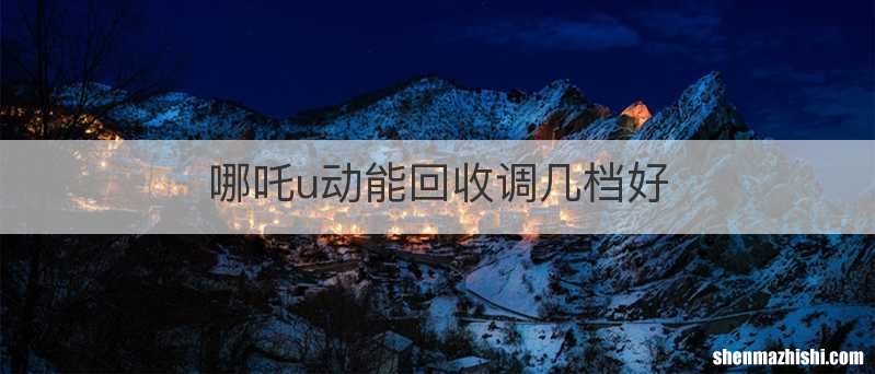 哪吒u动能回收调几档好